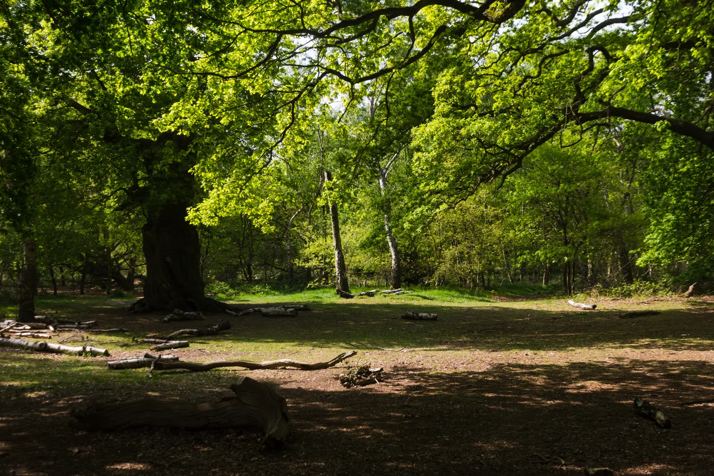 Spa Hotels Nottinghamshire: 25 Experiences in Sherwood Forest